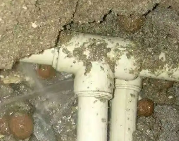 诸城测漏水多少钱