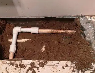 诸城测漏水哪家好