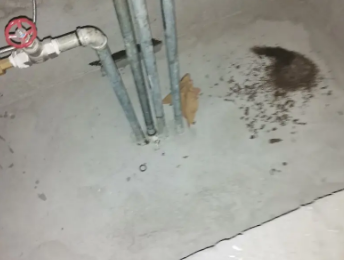 诸城卫生间测漏水价格明细