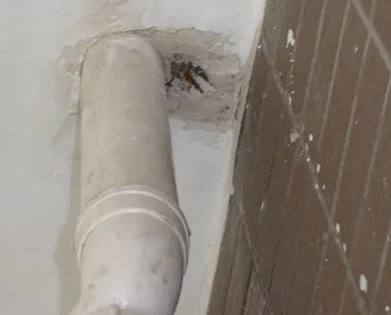 诸城漏水检测哪家好